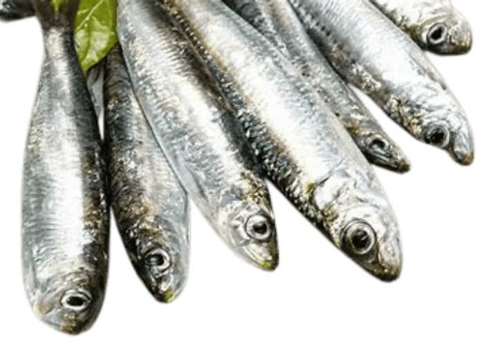 Dried Sarangi Fish (Sardine) view 2