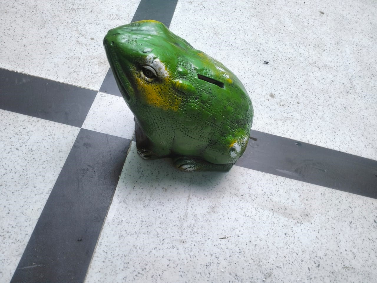 Money Box Frog Model view 2