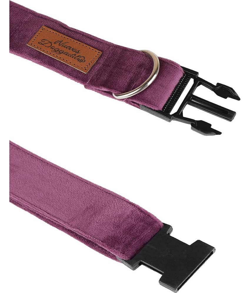 NUEVOS DOGGADIL - Black Collar ( X-Small ) view 2