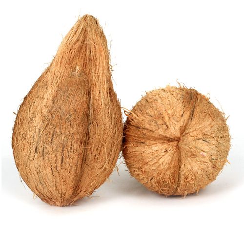 Fresh Coconut 1 pc