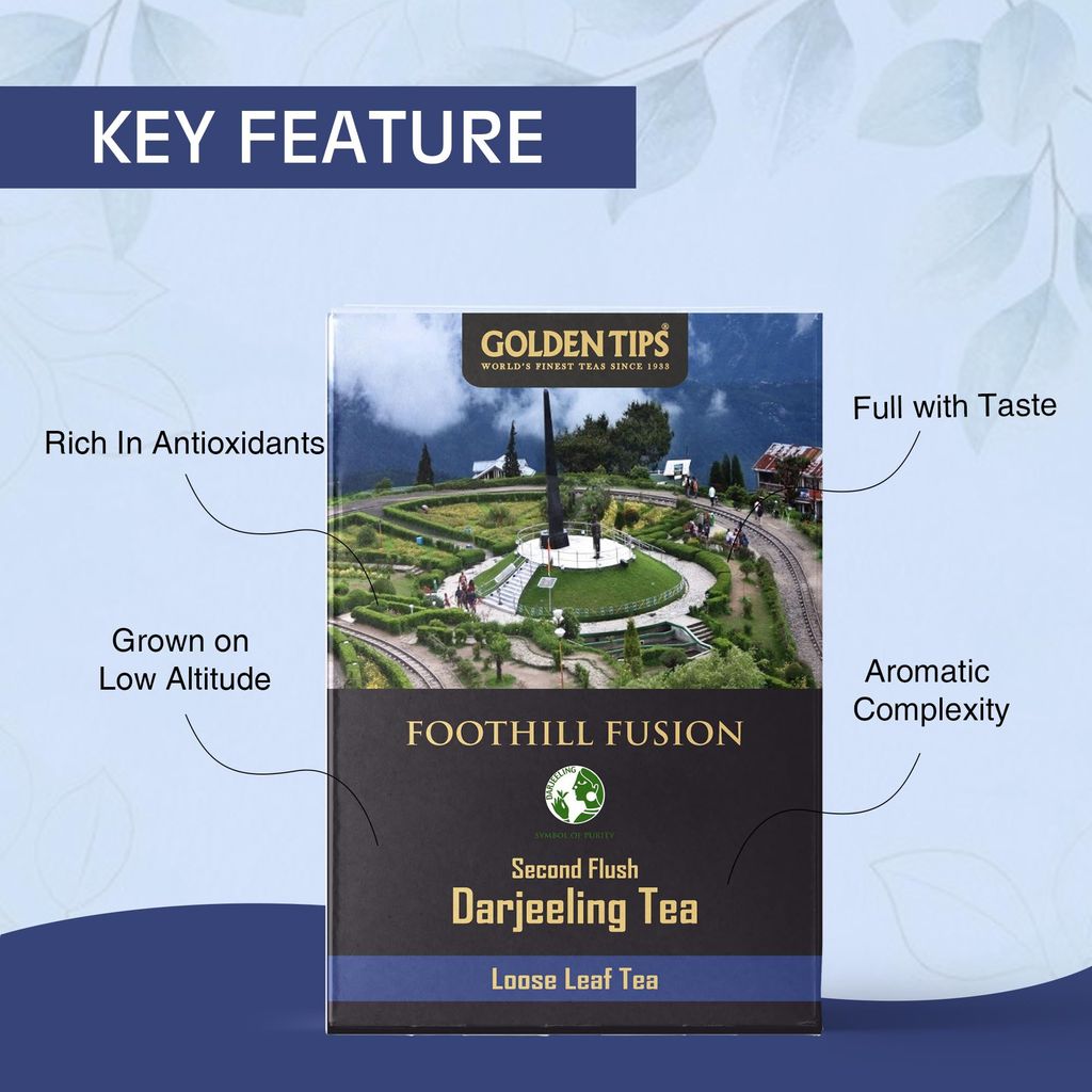 Golden Tips Foothill Fusion Loose Leaf Fine Green Tea (100gm-50 Cups) view 2