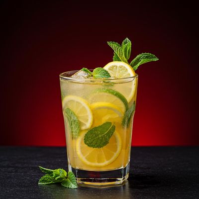 Citrus Splash Mojito