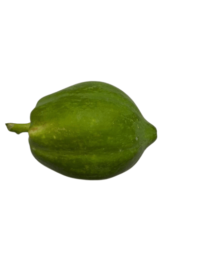 Fresh Green Papaya view 2