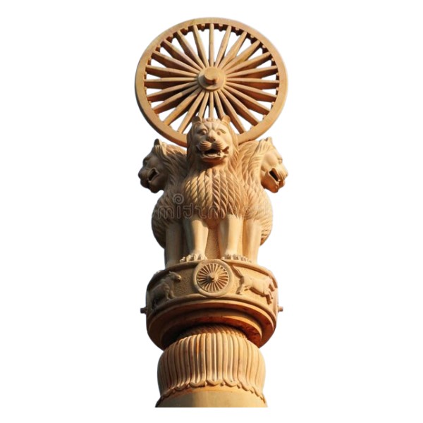 Ashoka Pillar 1 Feet view 2