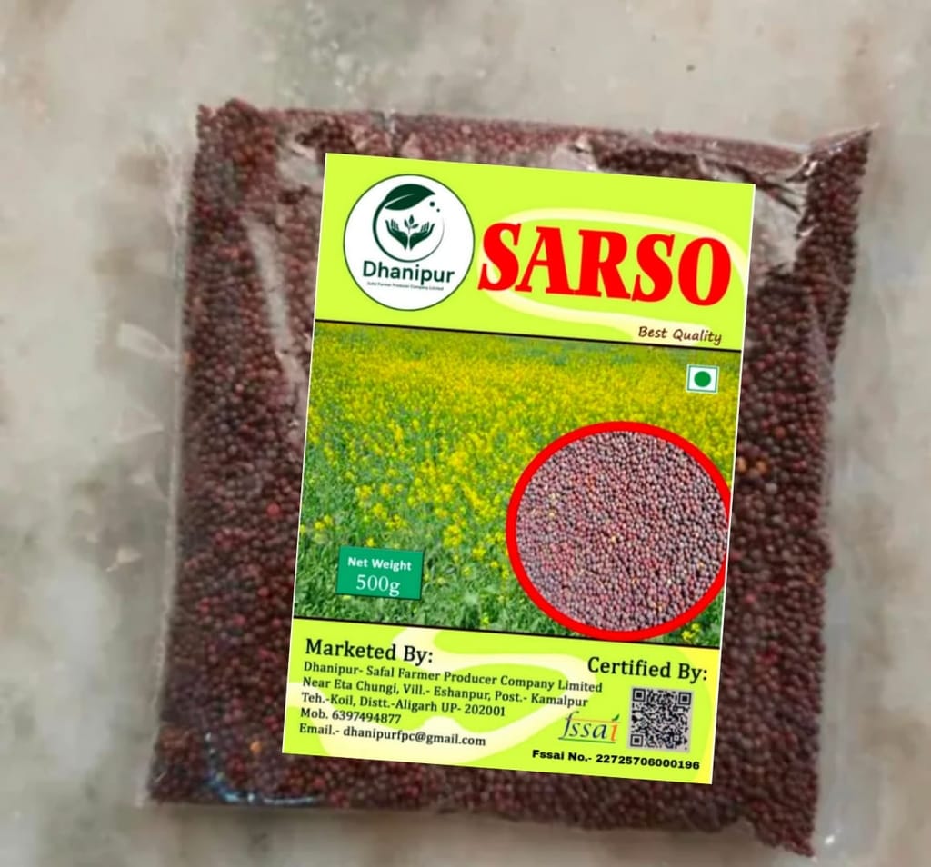 SARSO view 2