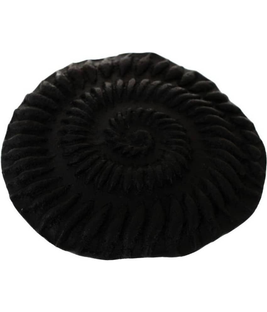 Kesar Zems - Stone Shaligram (Pack of 1) view 2