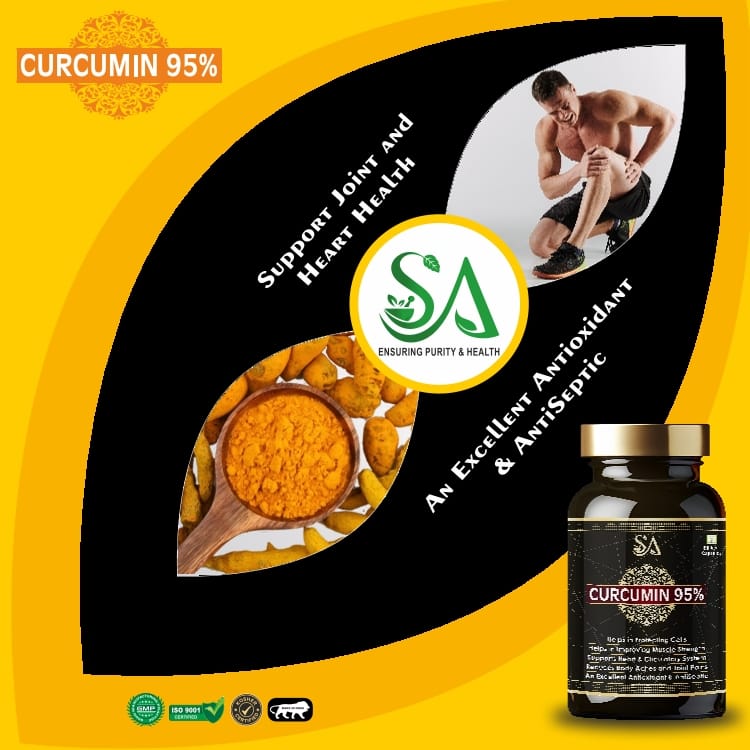 CURCUMIN 95%(Antioxidant & Anti-inflammatory Supplement – For Skin, Joint Support, Boosts Immune System) view 2