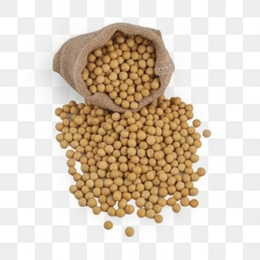 Premium Dried Soybeans - 300 gm - One burlap sack view 2