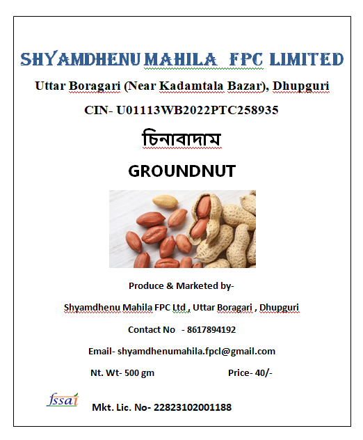 GROUNDNUT view 2