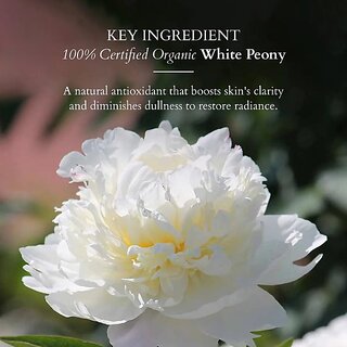 Lotus Organics+ Precious Brightening Serum+ Crme (30 Ml) view 2