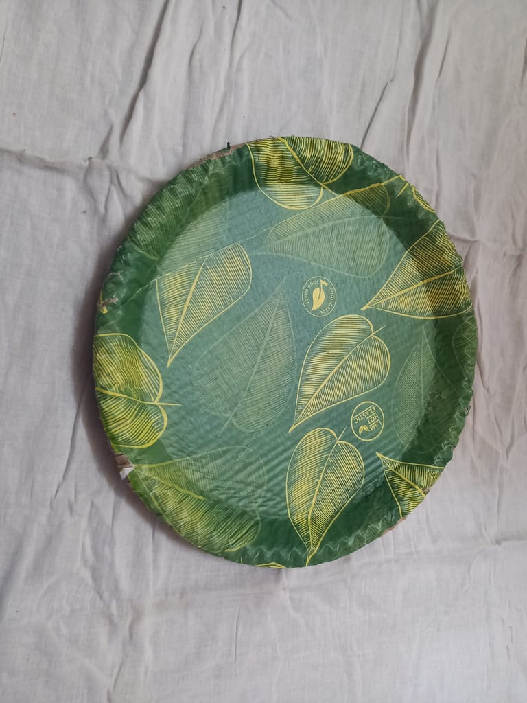 100% Natural Areca Leaf Plates | Disposable & Eco-Friendly | view 2