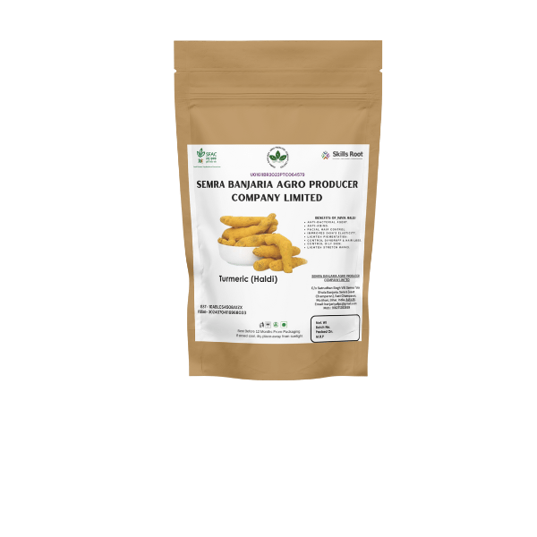 Turmeric (Haldi) view 2