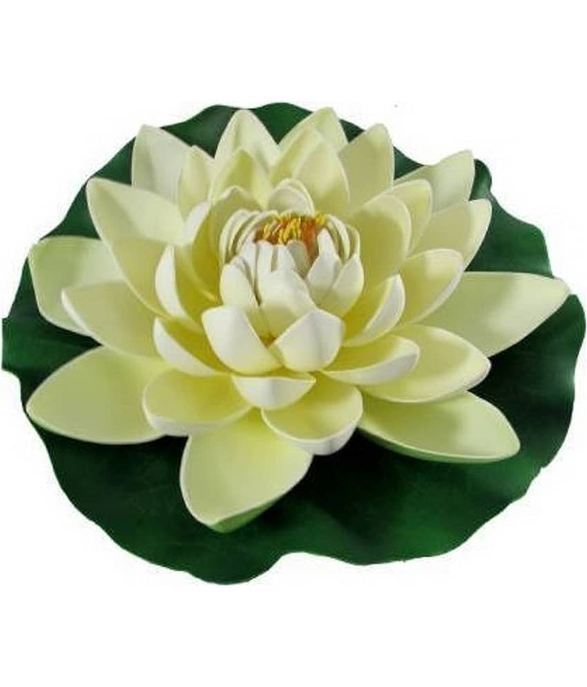 Green plant indoor Lotus Multicolour Floating Flowers - Pack of 1 view 2