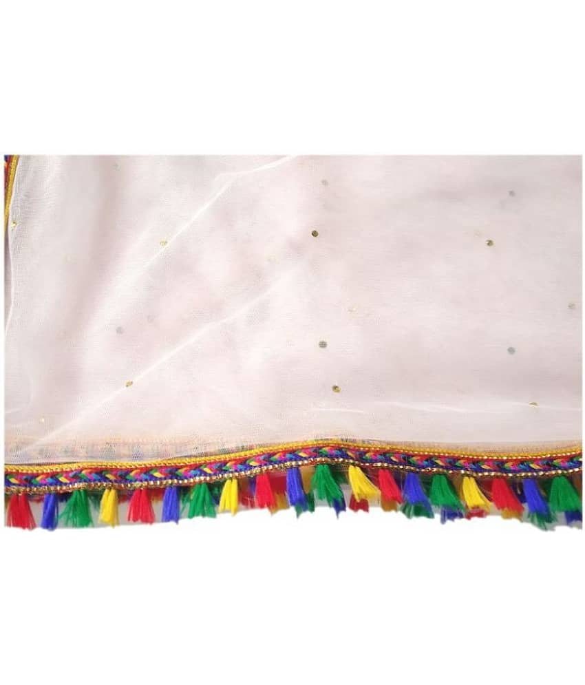 hariyanilace Pink Net Hand Painted Dupatta - Single view 2