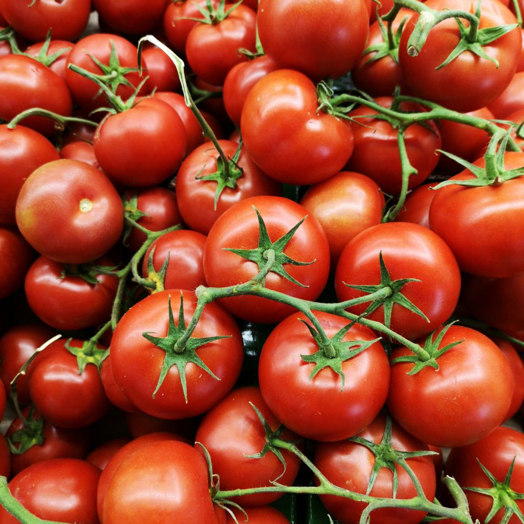 Fresh Nadu Tomatoes 1 kg view 2