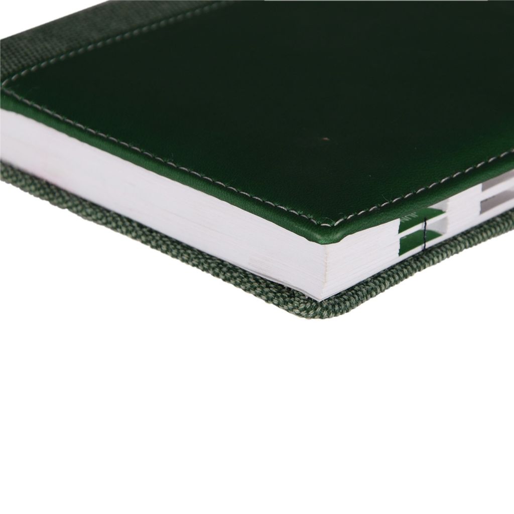 Executive Planner Diary (Green) view 2