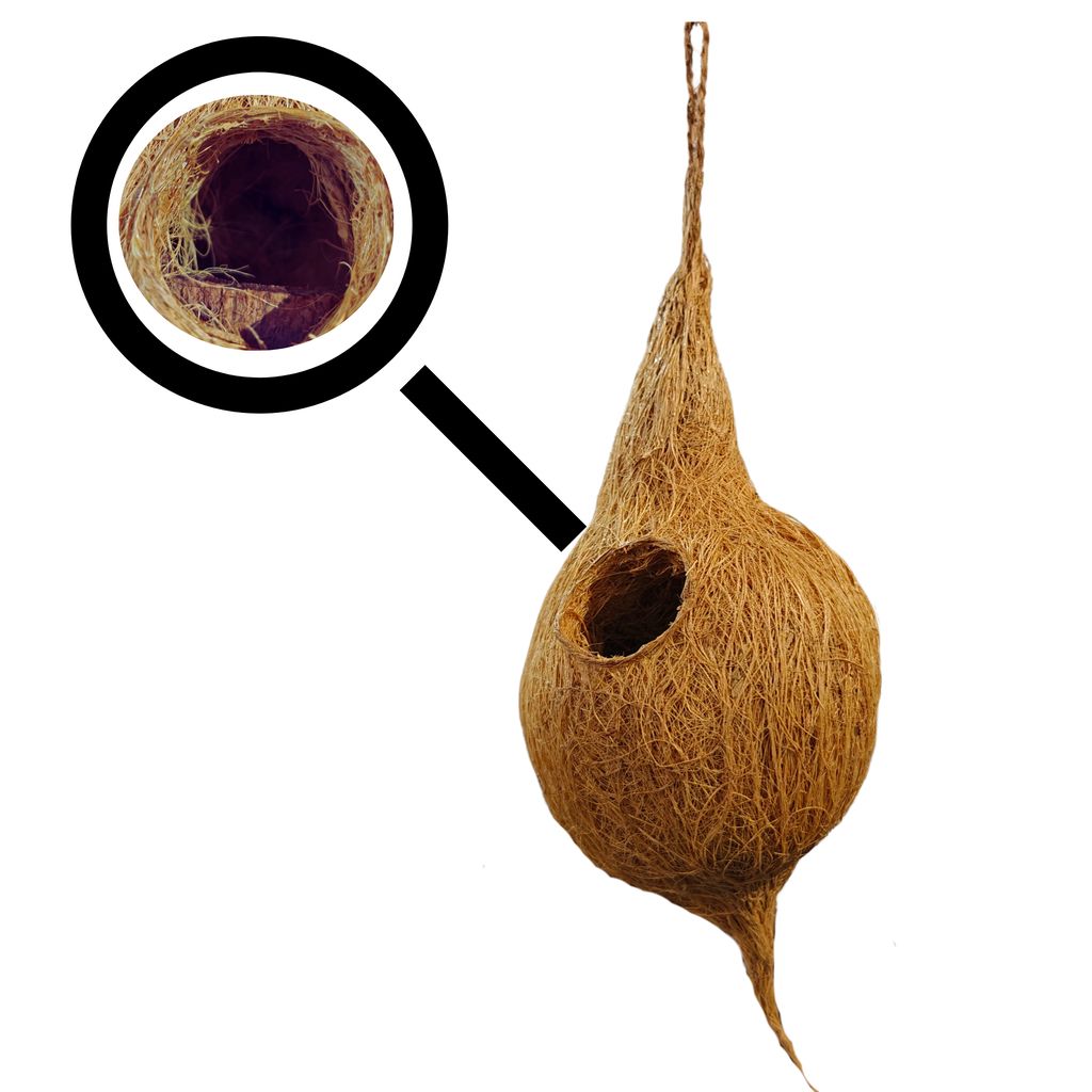 Coir Bird Nest view 2