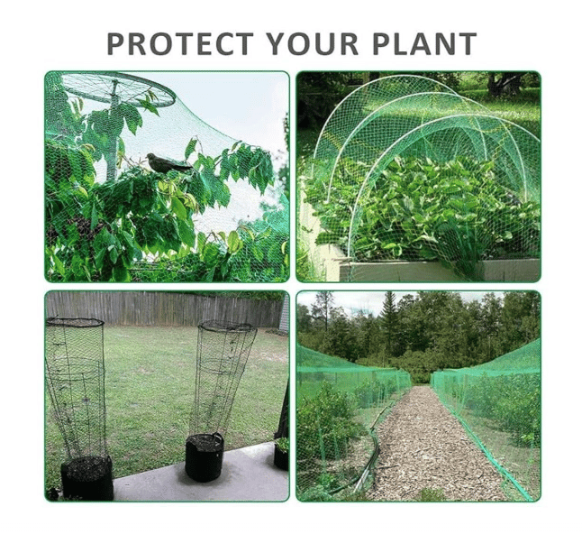 RK Trends Bird Netting | Heavy-Duty Anti-Bird Protection for Garden, Fruit Trees, and Vegetables | Durable (10 x 15) view 2