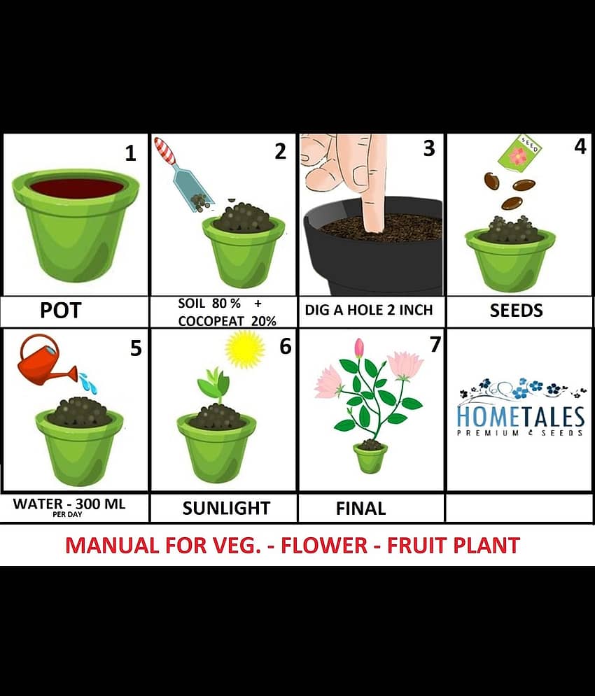 brinjal seeds The plant can be grown in a container as well as in the ground. view 2