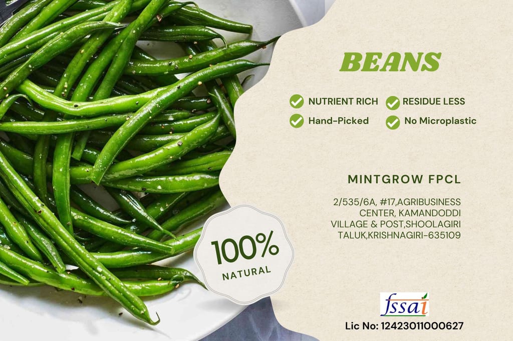 Beans Haricot