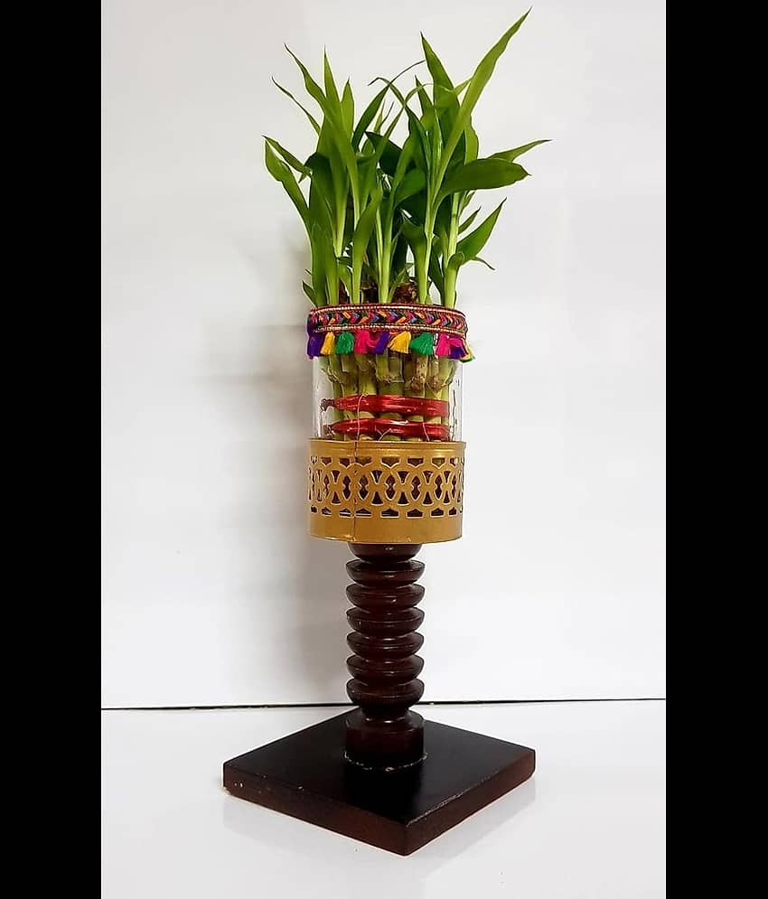 R.R.V. International Indoor Bamboo Plant ( Pack of 1 ) view 2