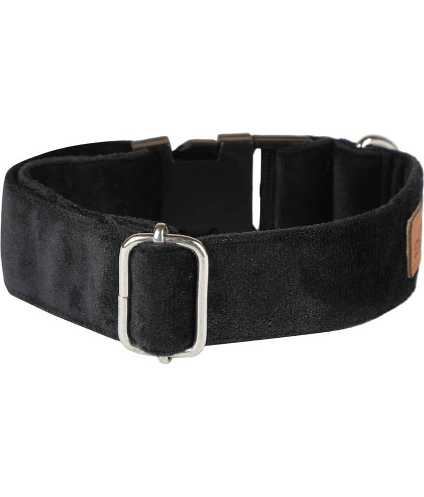 NUEVOS DOGGADIL - Black Collar ( X-Small ) view 2