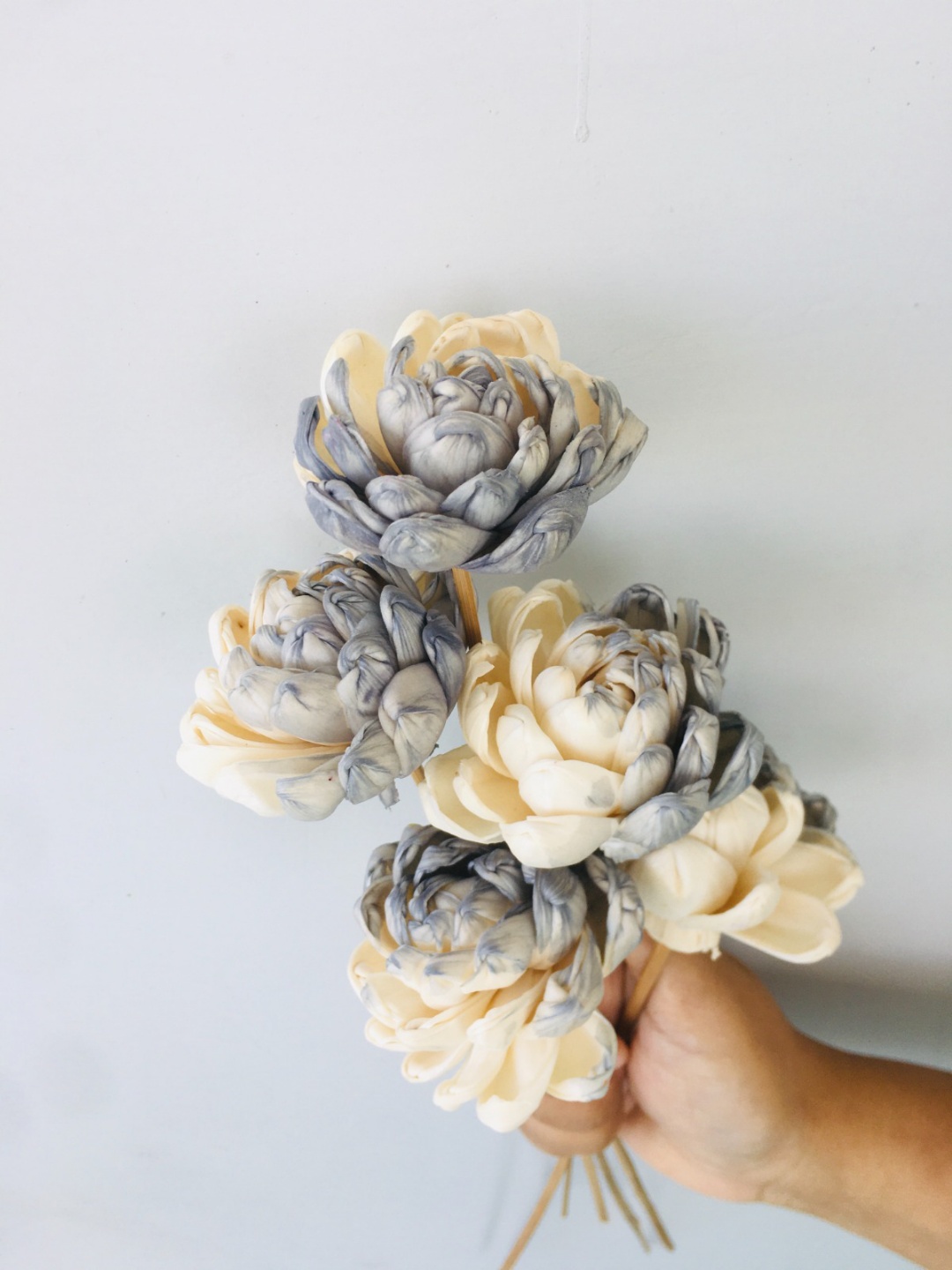 Grey Owl Sola Flower (5pcs) view 2