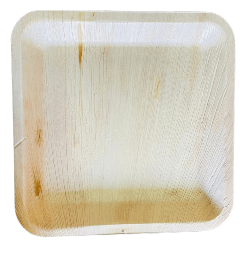 Areca Palm Leaf Plates | Disposable & Eco-Friendly | 10 Inches | Pack of 100