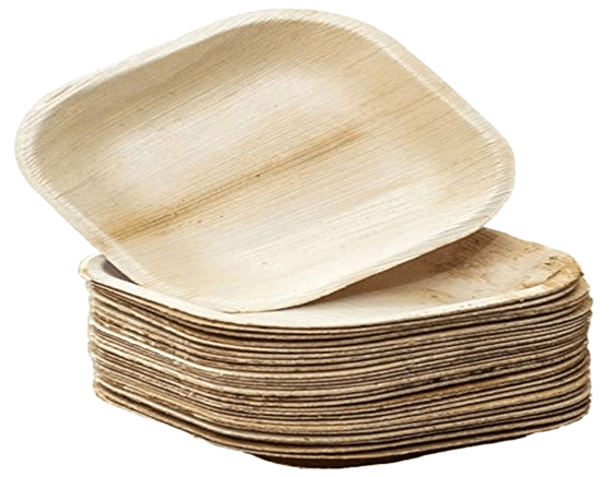 Areca Palm Leaf Plates | Disposable & Eco-Friendly | 10 Inches | Pack of 100 view 2