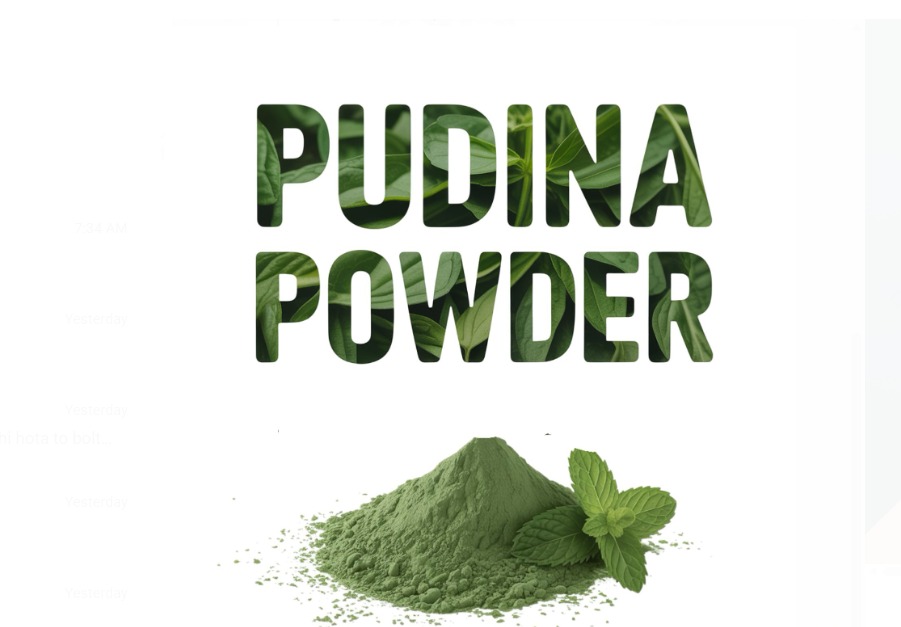 Pudina Powder 200 G view 2