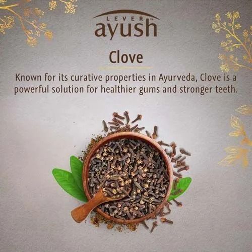 Lever Ayush Anti Cavity Clove Oil Toothpaste, 80 gm view 2