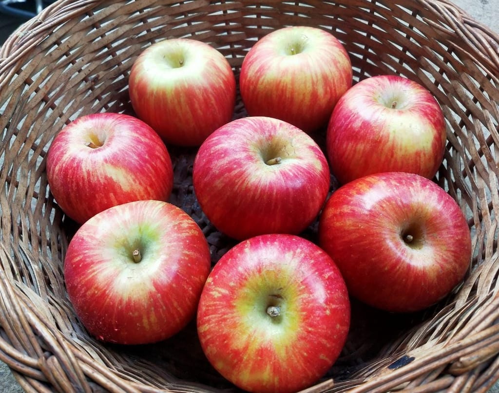 Apple (Fuji)