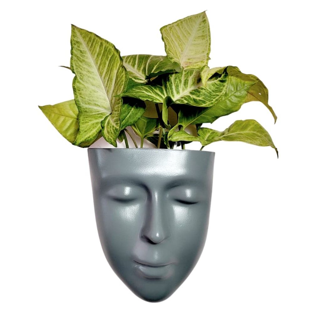DZIGN Hanging Wall Planter, Face Planter, Balcony Planter, Wall Hanging Indoor Planter, Outdoor Planter, Head Planter for Home Decor and Garden Hanging. Grey Male Face Planter Pack of 1. view 2