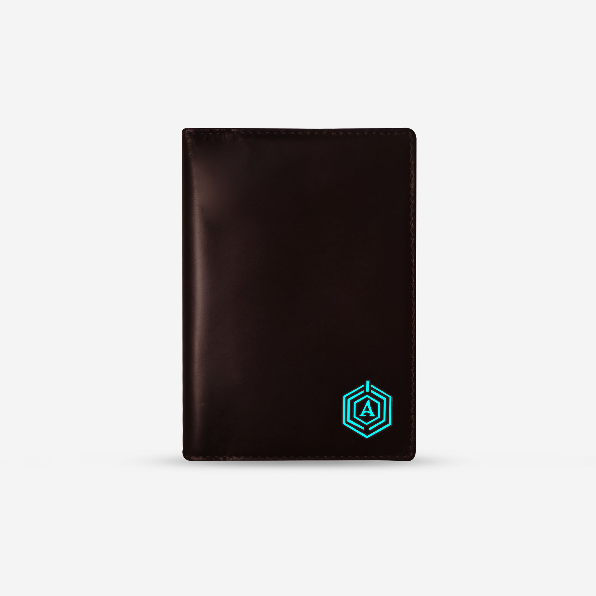 Arista Vault Brown Solid Passport Holder view 2
