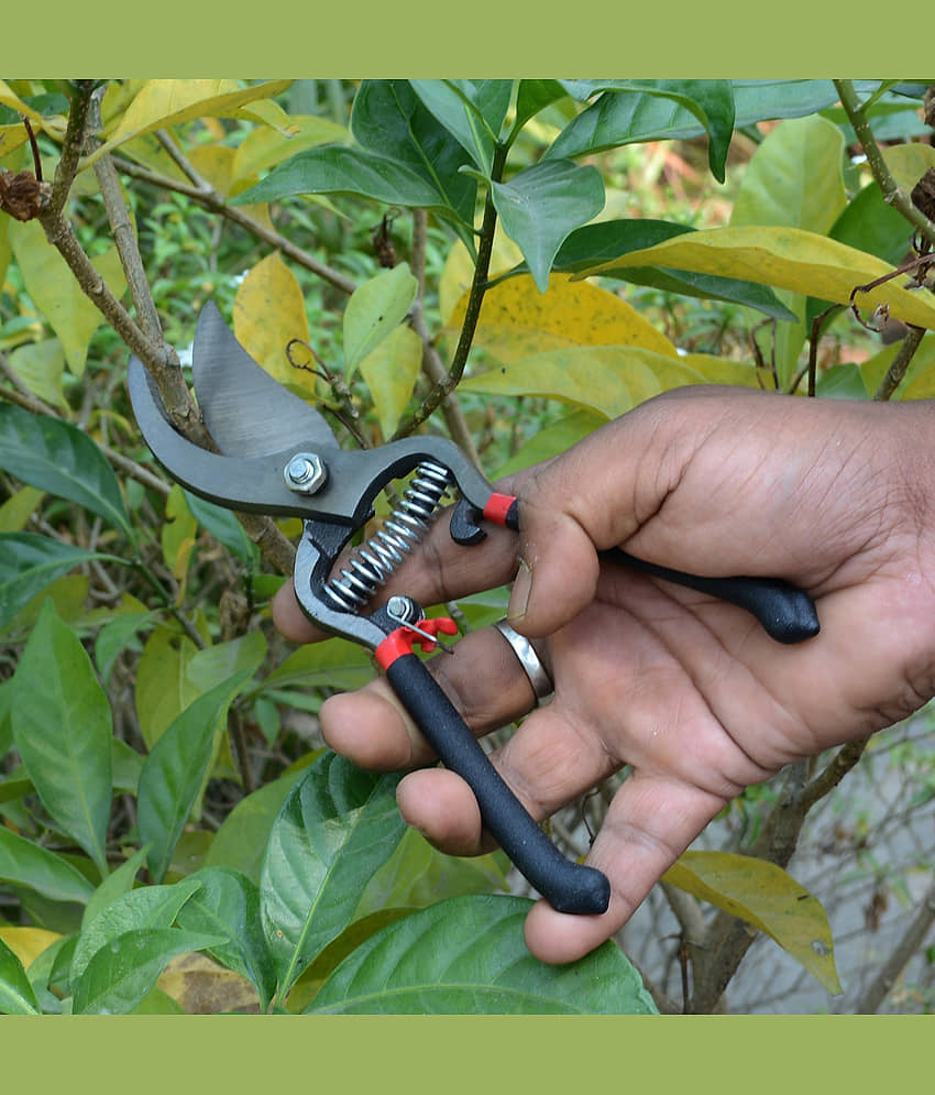 Multi-Purpose Gardening Tree Flower Pruning Shear Leaf Scissor Cutter view 2