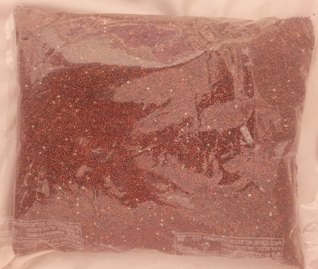 Finger millet (Raagi millet) view 2