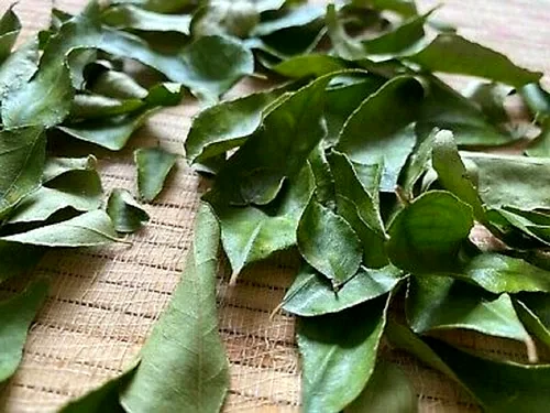Premium Sun (Solar) Dried Curry Leaves Powder / Leaves by Nirvi Foods