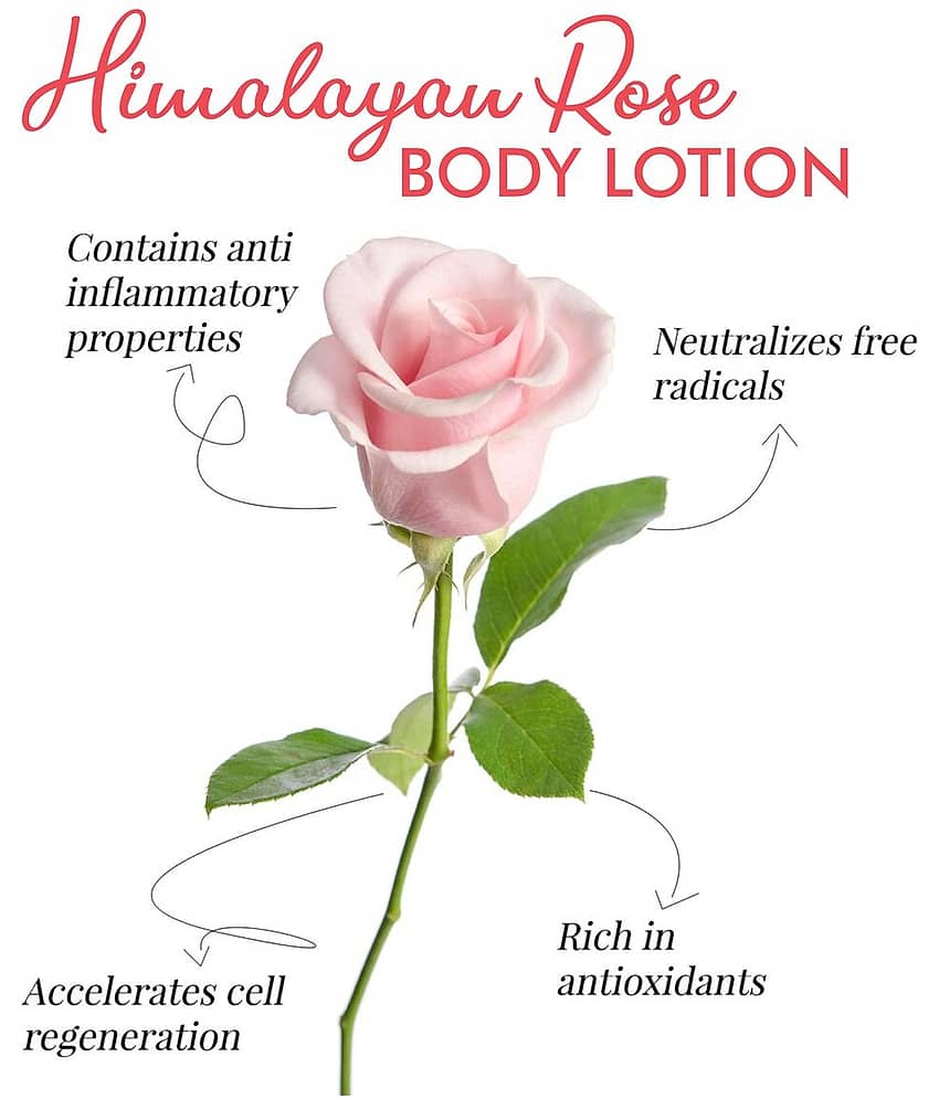Kayamaya Moisturizing Lotion For All Skin Type 600 ml ( Pack of 2 ) view 2