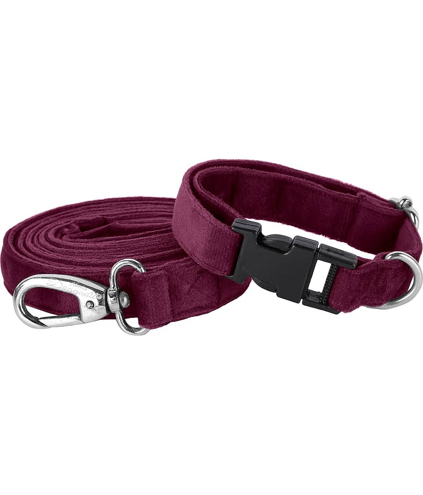 NUEVOS DOGGADIL - Black Collar ( X-Small ) view 2