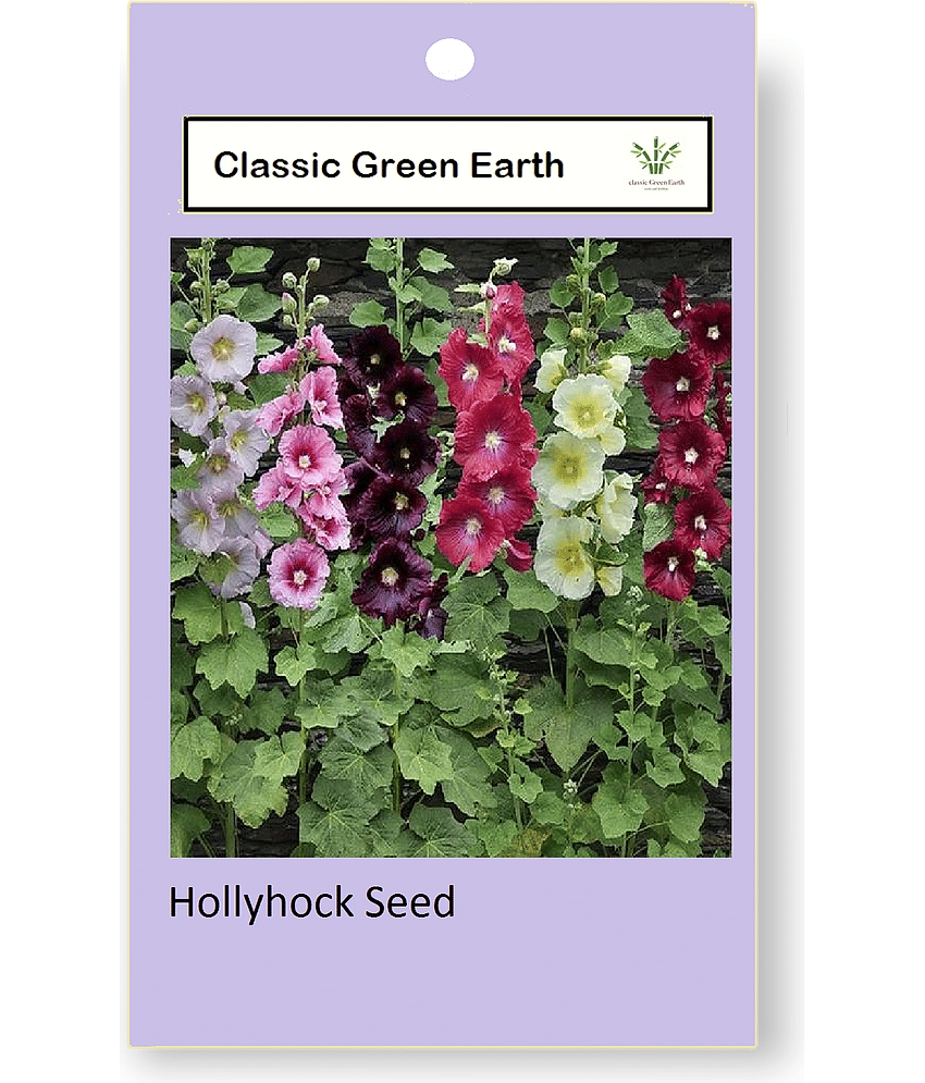 CLASSIC GREEN EARTH - Hollyhock Mixed Flower ( 20 Seeds ) view 2