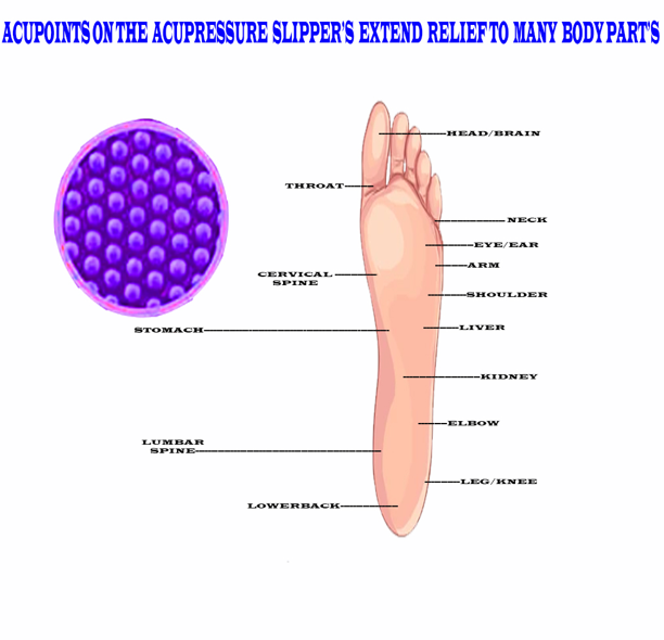 AQUPRESHER ROYAL BLUE view 2
