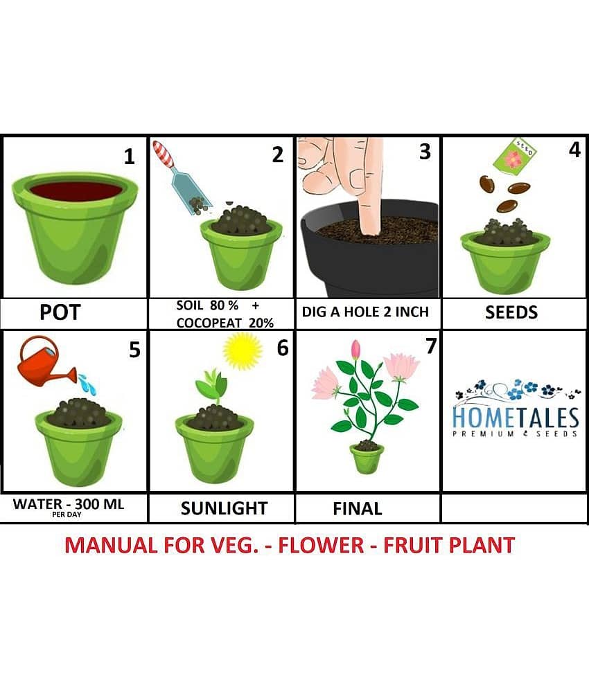 homeagro -Marigold & Dahlia Flower Seeds ( Pack of 2 - 30 Seeds each ) view 2
