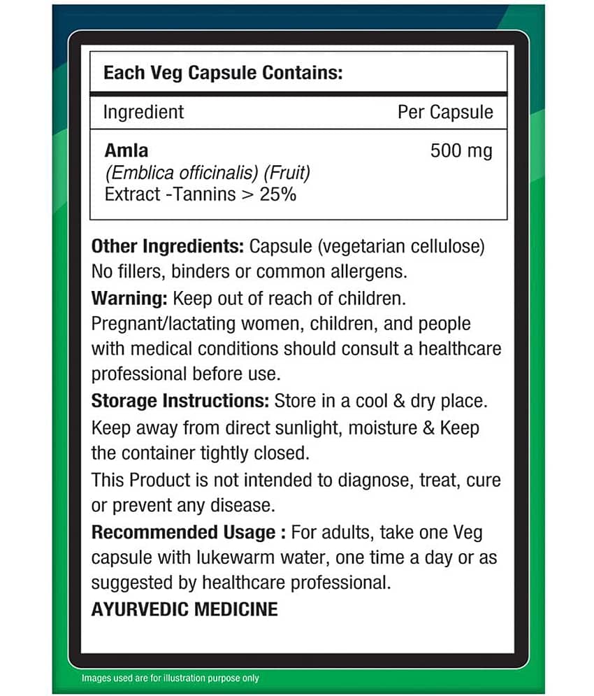 NourishVitals Amla Vitamin C with Tannins > 25% Pure Herbs, 500 mg Amla Extract 60 Veg Capsules (Pack Of 2) view 2