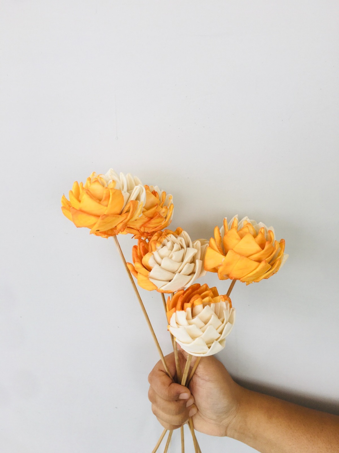 Ochre Sola Flower (5pcs) view 2