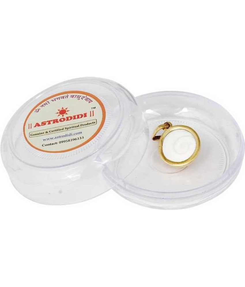 Astrodidi Gomti Chakra Panchdhatu Locket Pendant view 2