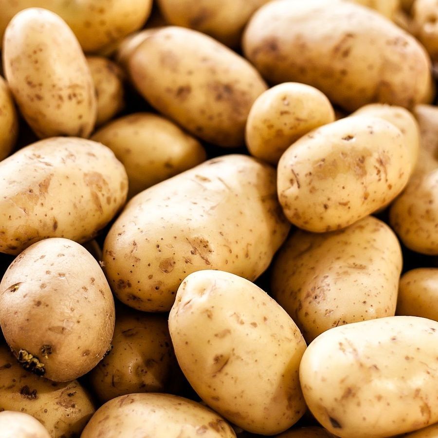 Fresh Potatoes - 50 kg - One sack of potatoes view 2