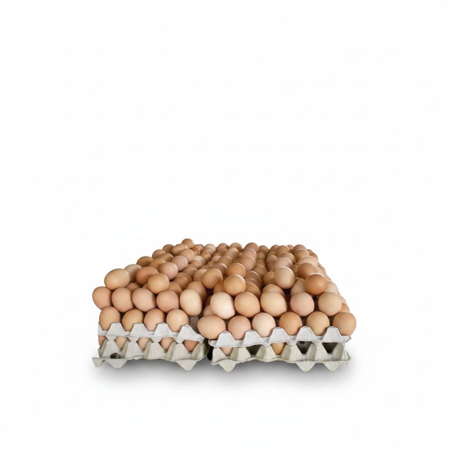 Farm Fresh Eggs - Pack of 500g - 100 gm - One tray of eggs view 2