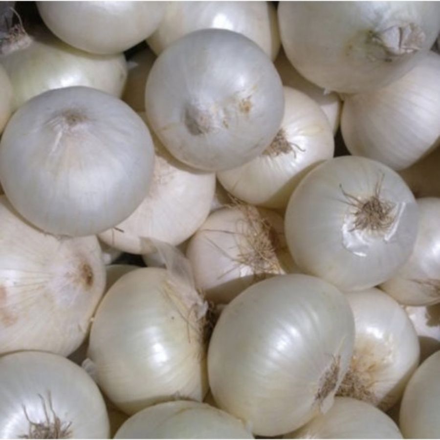 Organic White Onions- 500g - 450 kg - One kilogram pack view 2