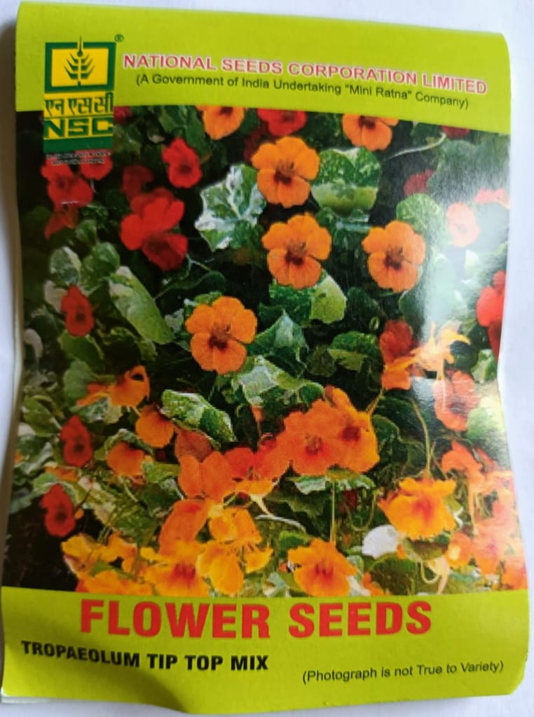 NSC Tropaeolum Tip Top Mix Flower Seeds view 2
