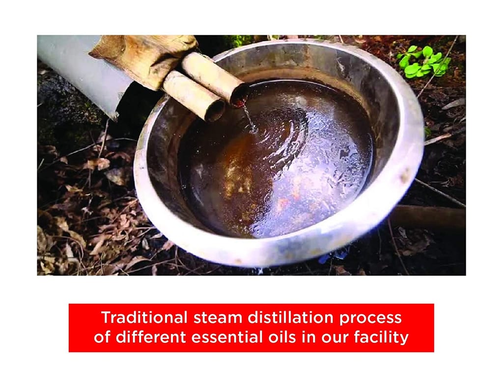 Frankincense Essential Oil view 2